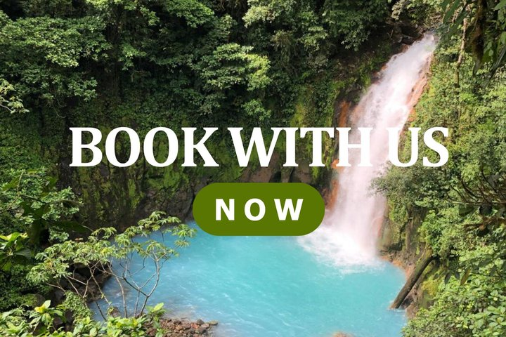 Wildlife Nature Hike, Blue Waterfall, Lunch & Sloth Trail - Tenorio Volcano Park - Photo 1 of 13